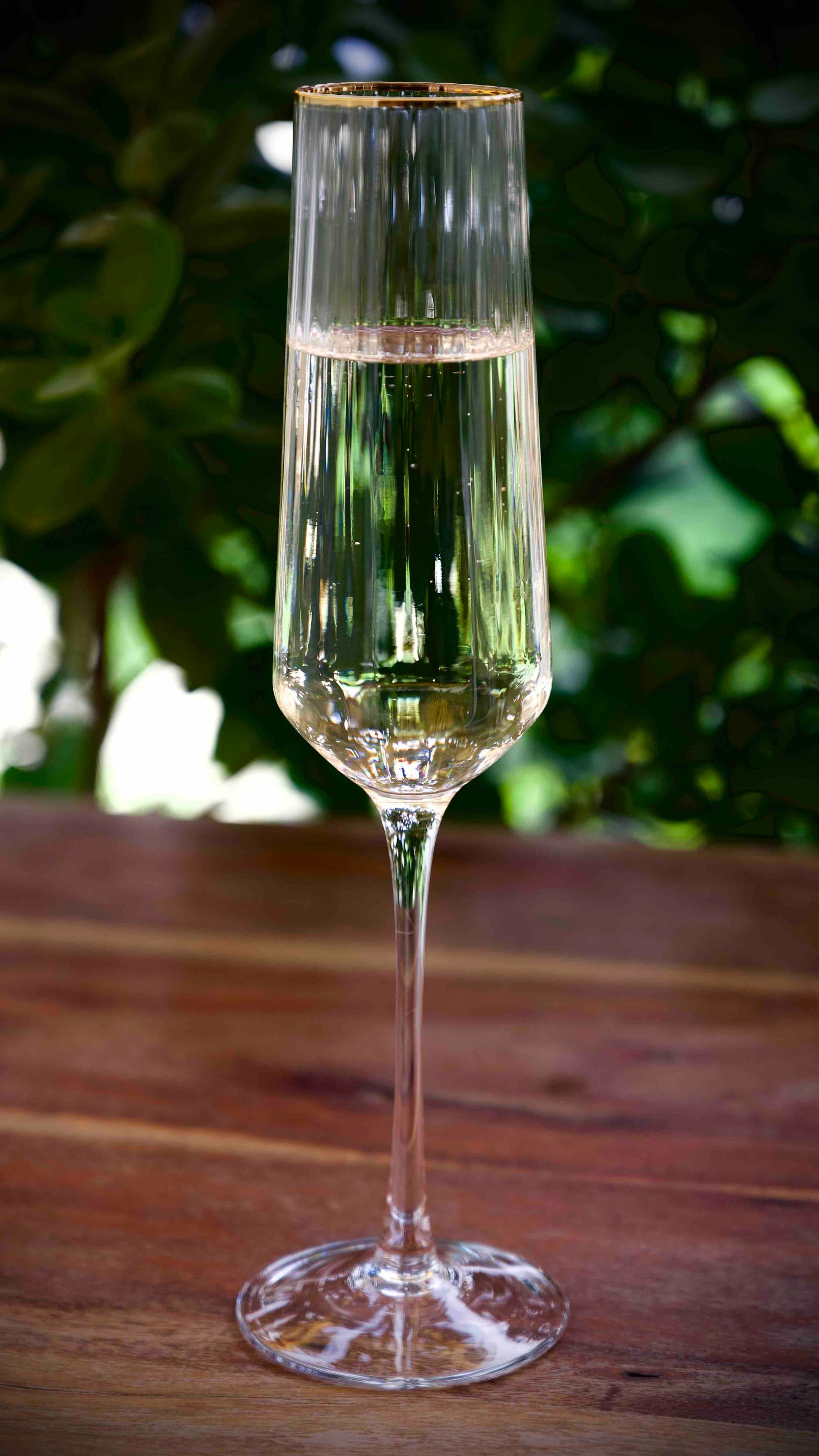 Elegant vidrio champagne glass with gold rim detail.