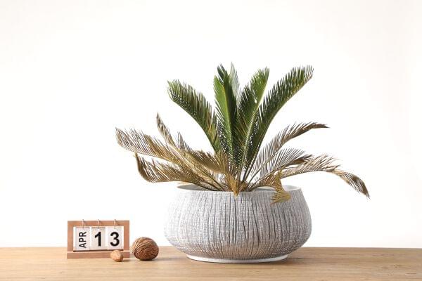 Serena Bowl Planter