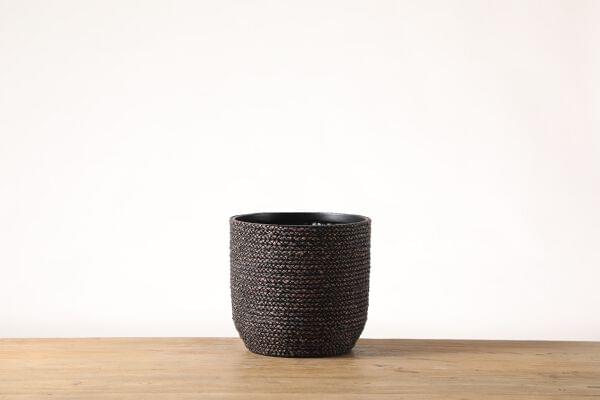 Tahiti Planter – Medium